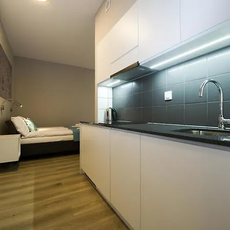 Nearto Old Town Rakowicka Apartmán Krakov